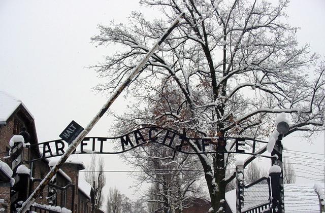 L’armata rossa e la liberazione di Auschwitz. Film documentario.